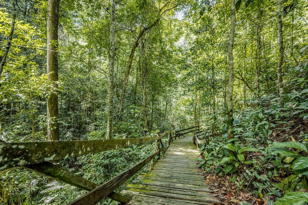 Borneo Tropical Rainforest Resort มีรี ภายนอก รูปภาพ