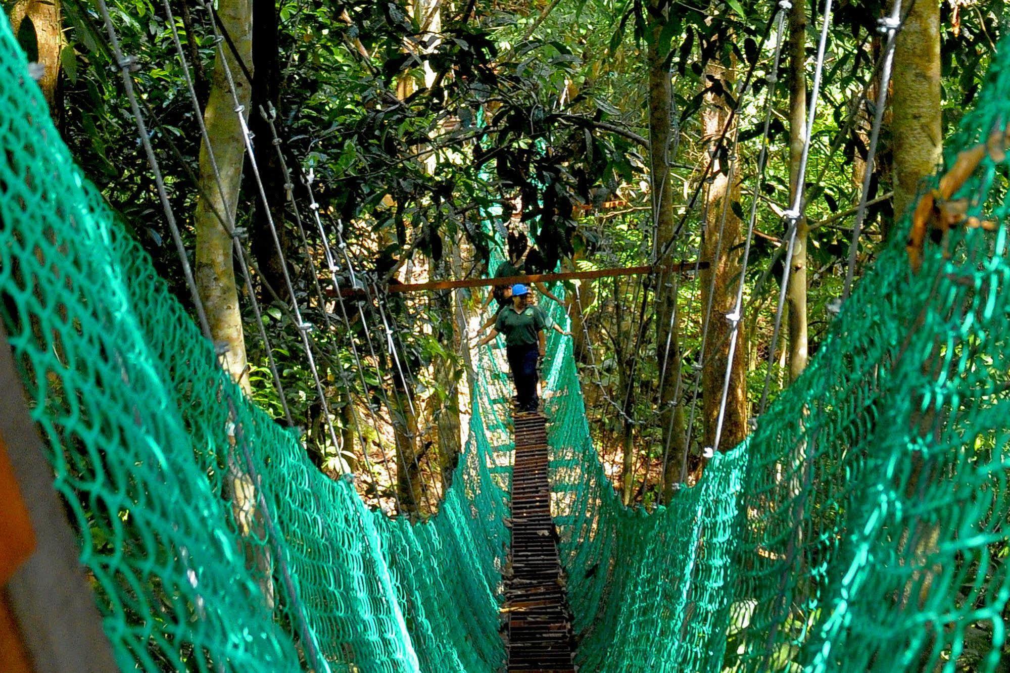 Borneo Tropical Rainforest Resort มีรี ภายนอก รูปภาพ