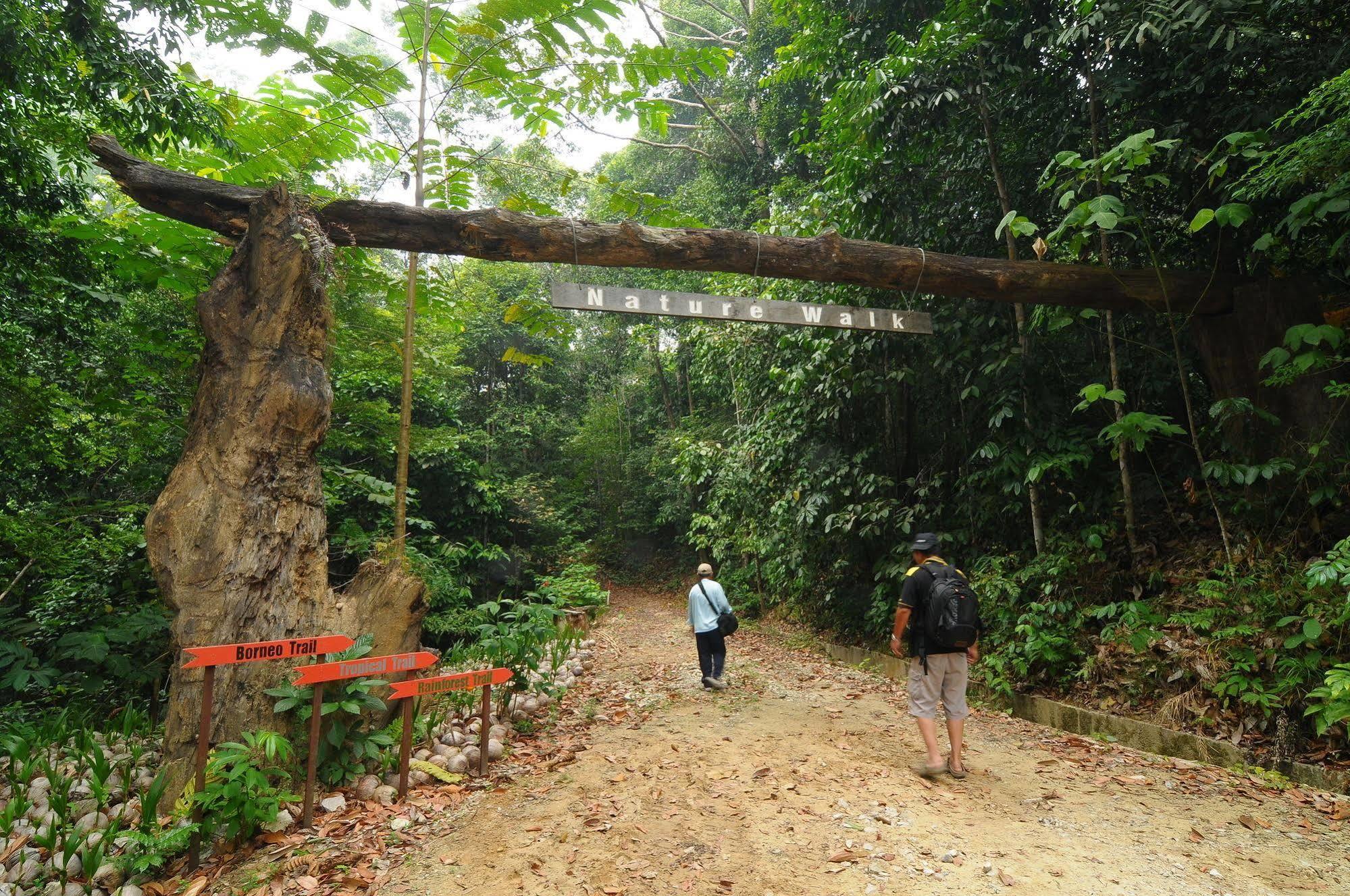 Borneo Tropical Rainforest Resort มีรี ภายนอก รูปภาพ