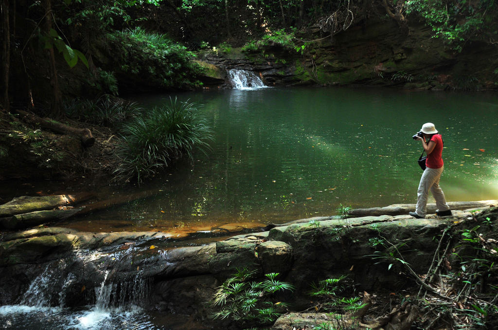 Borneo Tropical Rainforest Resort มีรี ภายนอก รูปภาพ